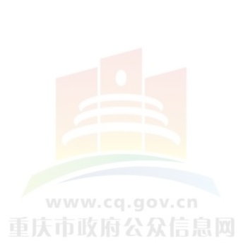 重庆市政府采购